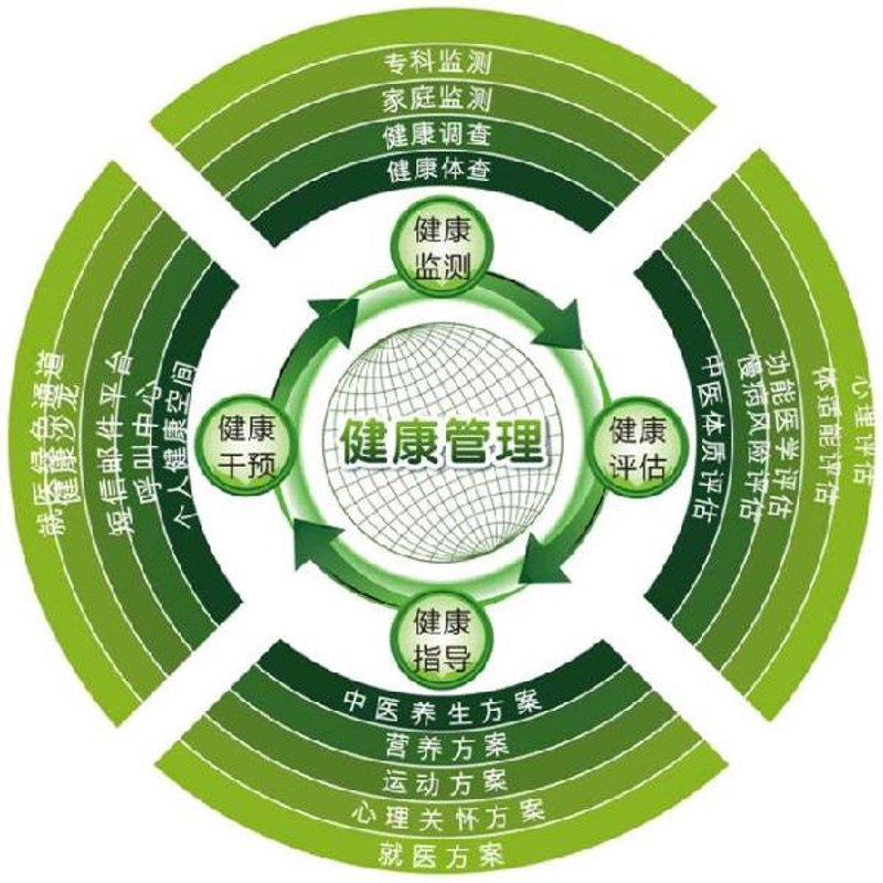 健康管理：构建健康生活的守护者
